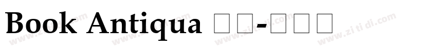 Book Antiqua 常规字体转换